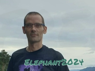 Elephant2024