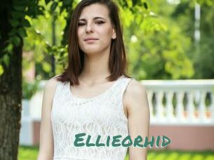 Ellieorhid