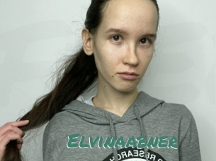 Elvinaabner