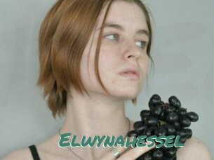 Elwynahessel