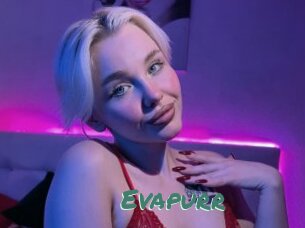 Evapurr