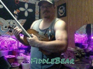 FiddleBear