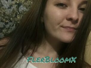 FlerBloomX