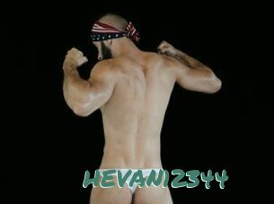 HEVAN12344