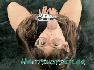 Haiitsnotskylar