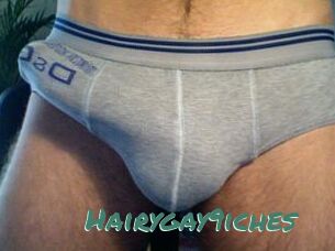 Hairygay9iches