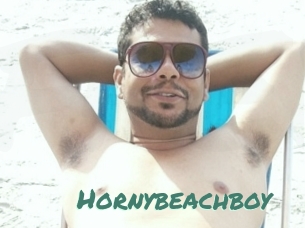 Hornybeachboy