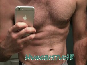 Hungbistud18