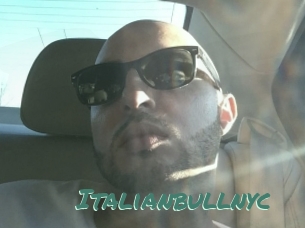 Italianbullnyc