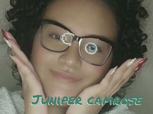Juniper_camrose