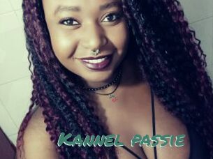 Kannel_passie