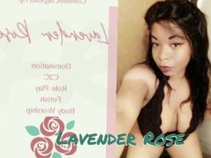 Lavender_Rose