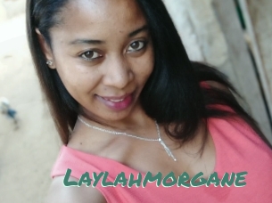 Laylahmorgane