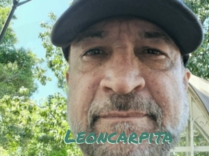 Leoncarpita