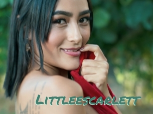 Littleescarlett