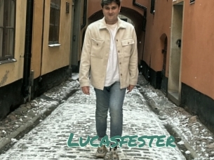 Lucasfester