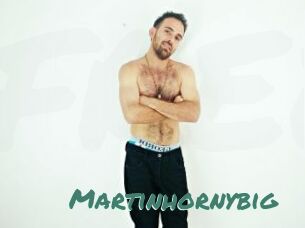 Martinhornybig