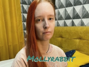 Mollyrabbit