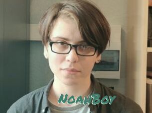 NoahBoy