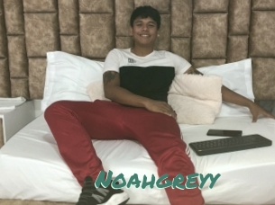 Noahgreyy