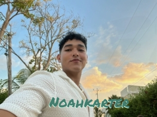 Noahkarter