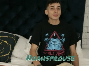 Noahsprouse