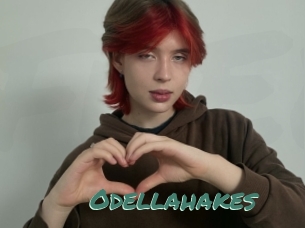 Odellahakes