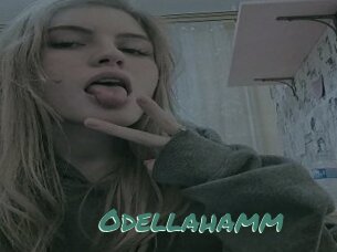 Odellahamm