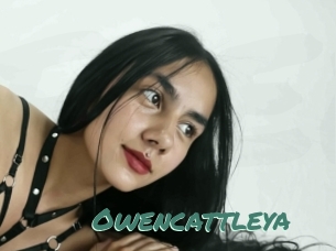 Owencattleya