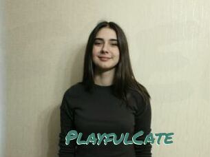 PlayfulCate