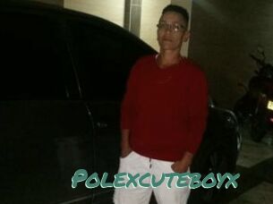 Polexcuteboyx