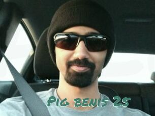 Pig_benis_25