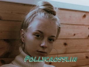 Pollycrosslin