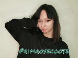 Primrosecoote