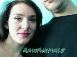 RawAnimals