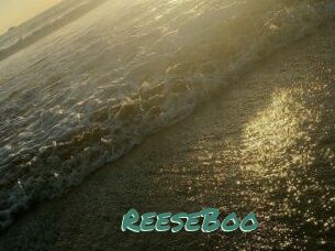 ReeseBoo