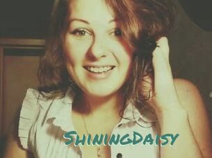 ShiningDaisy