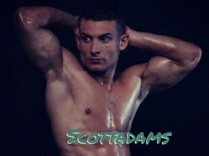 Scottadams