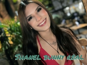 Shanel_bunny_real