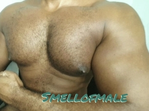 Smellofmale