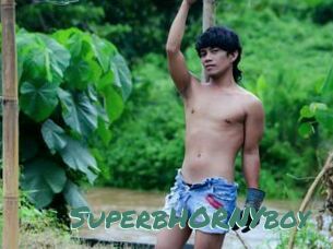 SuperbHORNYboy