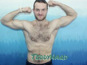 TeddyHard