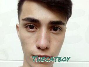 Thecatboy