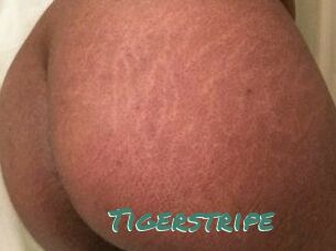 Tigerstripe