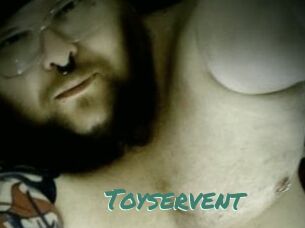 Toyservent