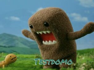 Testdomo