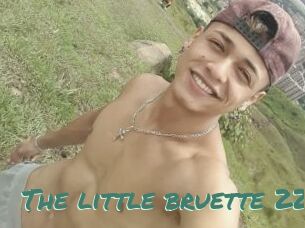 The_little_bruette_228