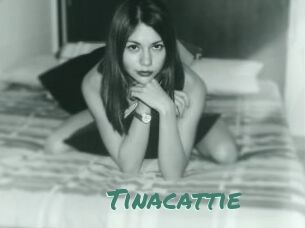 Tinacattie