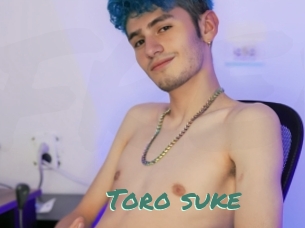 Toro_suke