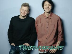 Twotwinkguys